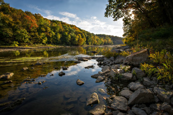 Картинка природа реки озера вода отражение деревья