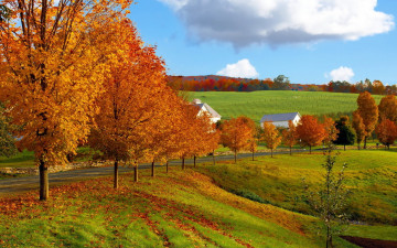Картинка природа поля листья дома деревня деревья осень