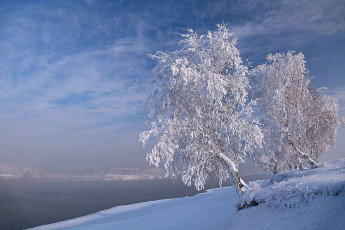 Картинка природа зима березы снег облака