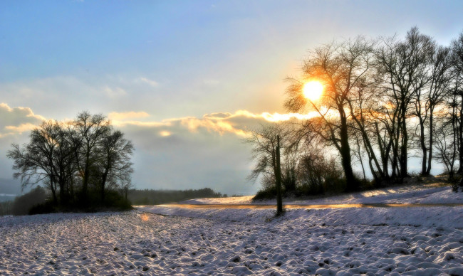 Обои картинки фото природа, зима, снег, деревья, солнце
