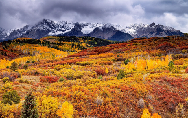 Обои картинки фото природа, луга, осень, лес, горы, тучи