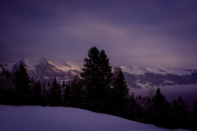 Обои картинки фото природа, горы, небо, лес, снег