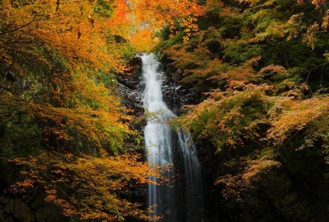 Обои картинки фото природа, водопады, поток, лес, осень, скала, водопад