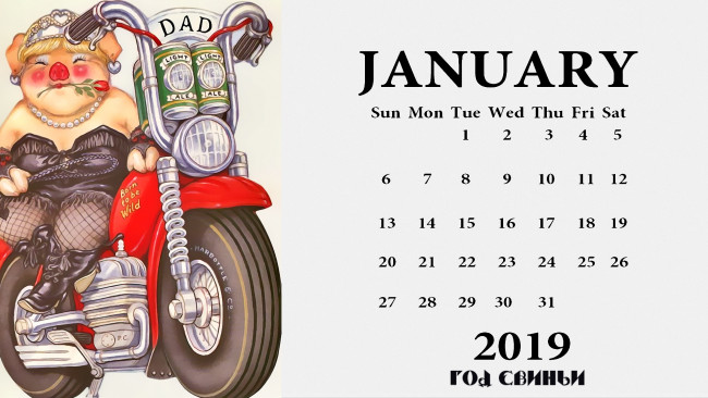 Обои картинки фото календари, праздники,  салюты, мотоцикл, свинья, роза