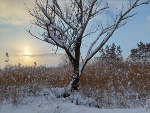 Картинка природа восходы закаты зима снег