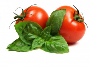 Картинка еда помидоры томат листья томаты