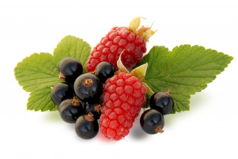 Картинка еда фрукты ягоды дары леса малина