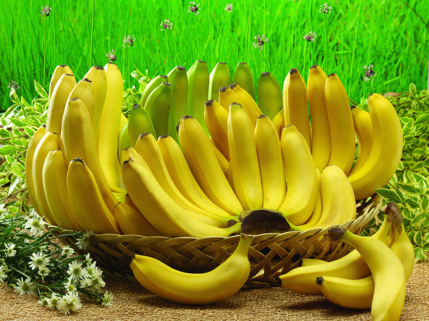 Обои картинки фото еда, бананы, фрукты