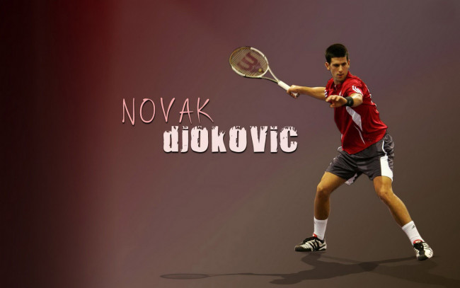 Обои картинки фото спорт, теннис, novak, djokovic