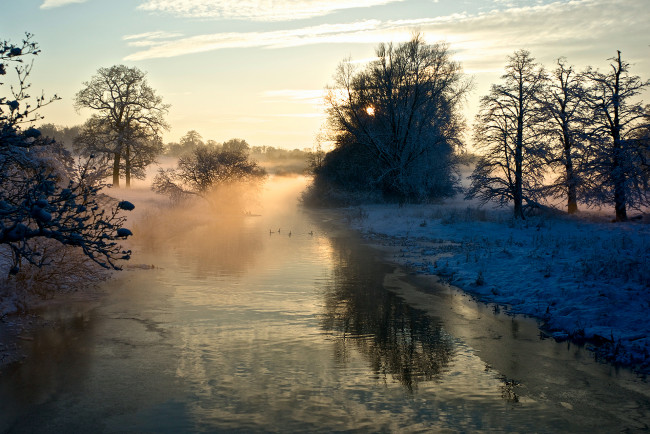 Обои картинки фото природа, реки, озера, туман, деревья, зима, река