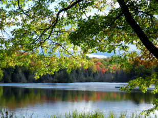 Картинка природа реки озера деревья река осень