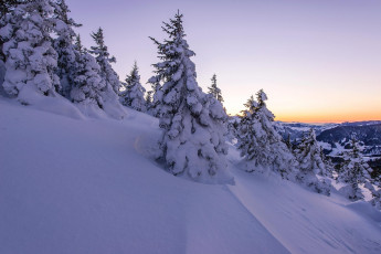 Картинка природа зима деревья снег сугробы