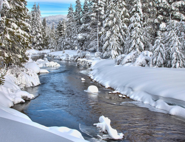 Обои картинки фото природа, реки, озера, зима, деревья, снег, река, пейзаж