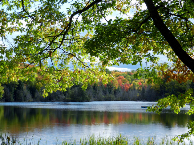 Обои картинки фото природа, реки, озера, деревья, река, осень