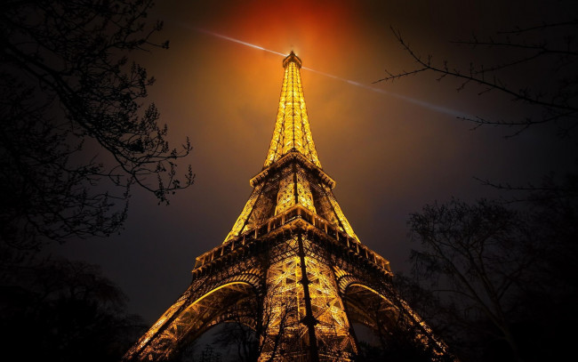 Обои картинки фото города, париж , франция, эйфелева, башня, огни, ракурс, деревья, ночь