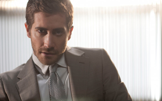 Обои картинки фото мужчины, jake gyllenhaal, галстук