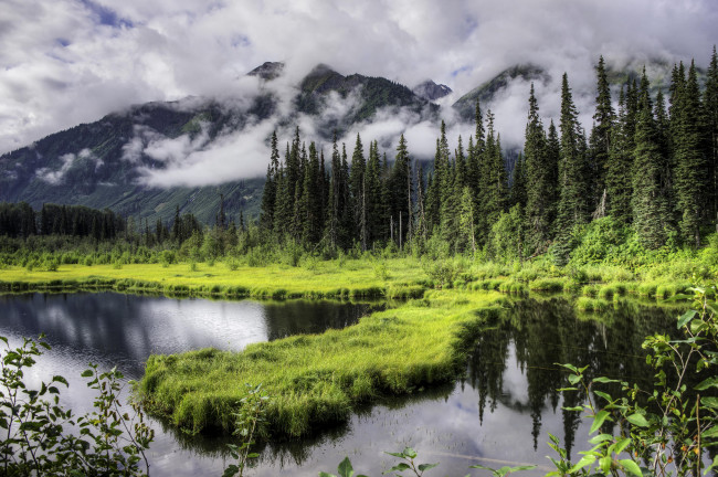 Обои картинки фото природа, пейзажи, пейзаж, деревья, горы, озеро, alaska