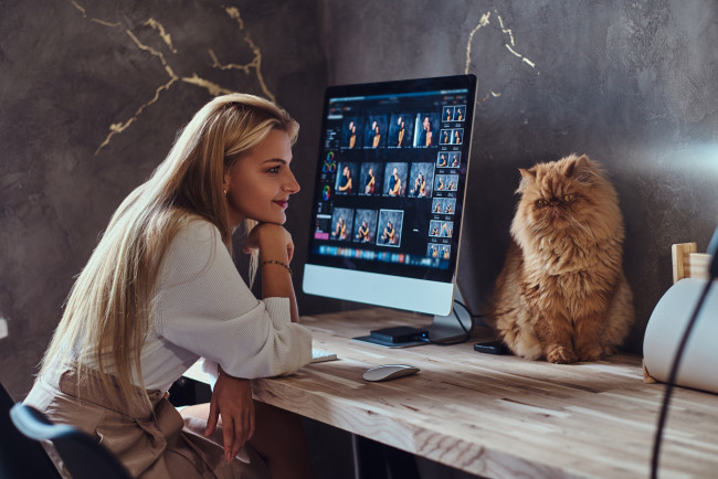 Обои картинки фото девушки, - блондинки,  светловолосые, стол, монитор, кошка, модель, принтер