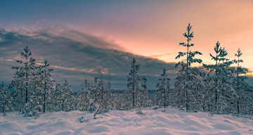 Картинка природа зима снег закат деревья