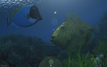 Картинка 3д+графика животные+ animals рыбы море