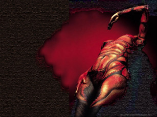 Картинка scorpio разное знаки зодиака девушка тело скорпион рисунок боди-арт рука нагота красный