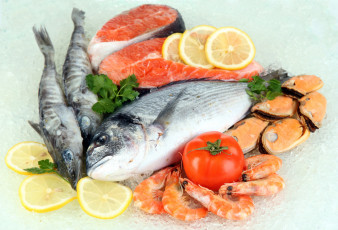 обоя еда, рыба,  морепродукты,  суши,  роллы, зелень, лимон, помидоры, мидии, креветки, лед