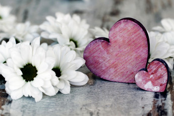 Картинка праздничные день+святого+валентина +сердечки +любовь праздник сердечки цветы