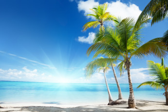 Картинка природа тропики песок пляж океан берег остров солнце море