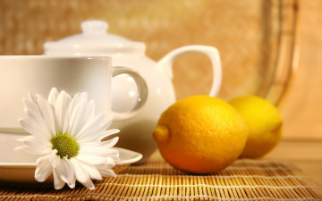 обоя еда, цитрусы, лимон, чай, lemon, чашка, ромашка, tea