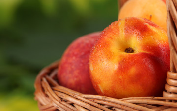 Картинка еда персики +сливы +абрикосы нектарин абрикосы фрукты макро капли
