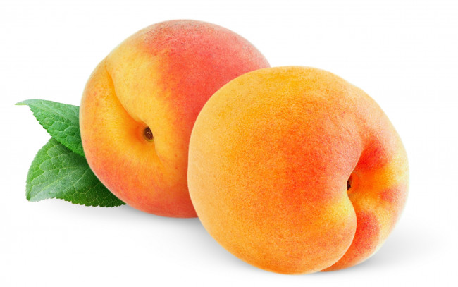 Обои картинки фото еда, персики,  сливы,  абрикосы, мохнатые, фрукты