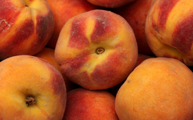 Обои картинки фото еда, персики,  сливы,  абрикосы, мохнатые, фрукты