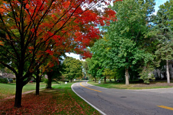 Картинка природа дороги разметка осень деревья