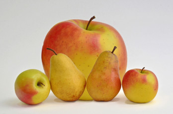 Картинка еда фрукты +ягоды яблоки груши