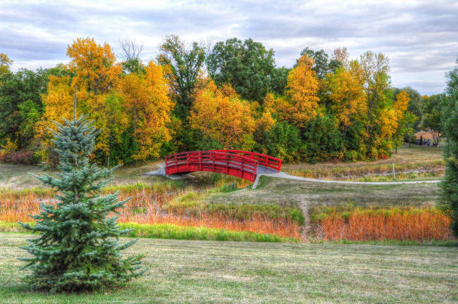 Обои картинки фото природа, парк, небо, трава, деревья, мост, осень