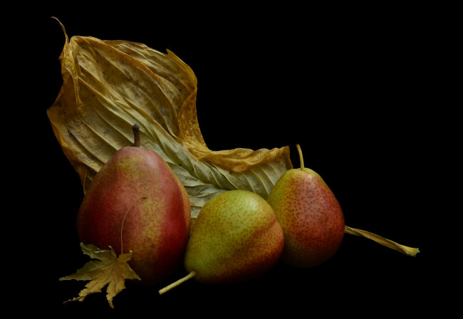 Обои картинки фото еда, груши, фрукты