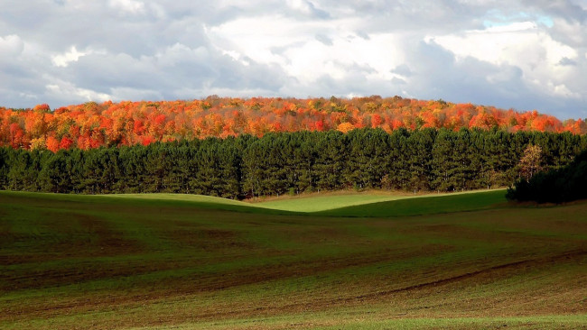 Обои картинки фото природа, поля, лес, осень