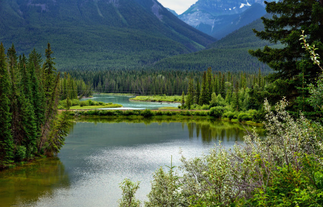 Обои картинки фото природа, реки, озера, канада, живописный, национальный, парк, вуд-баффало