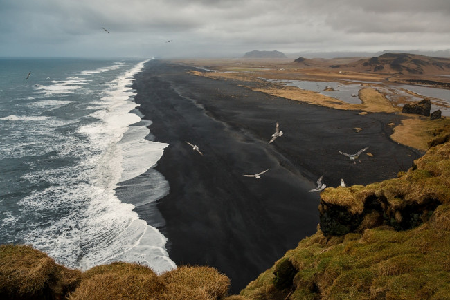 Обои картинки фото природа, побережье, dyrholaey, исландия, море, птицы, прибой, юрий, Чернов, скалы