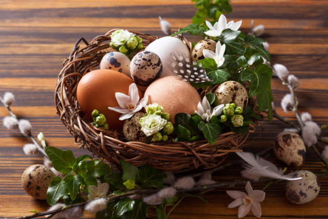 Обои картинки фото праздничные, пасха, верба, яйца, гнездо