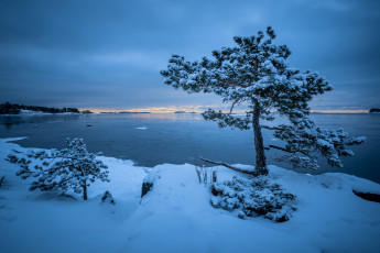 Картинка природа зима озеро деревья снег