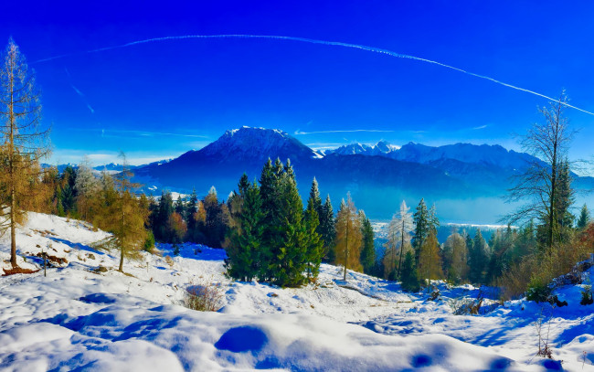 Обои картинки фото природа, горы, деревья, снег