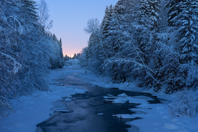 Обои картинки фото природа, реки, озера, снег, река, деревья