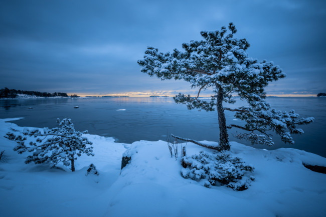 Обои картинки фото природа, зима, озеро, деревья, снег