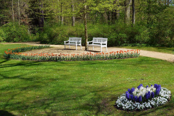 Картинка природа парк лужайка клумба скамейки