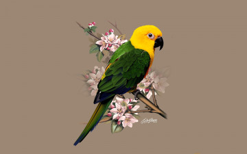 Картинка рисованное животные +птицы +попугаи попугай ветка