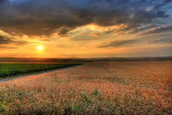 Картинка германия гессен природа поля закат