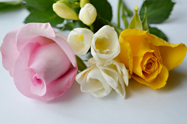 Обои картинки фото цветы, разные вместе, бутон, розы, лепестки, букет