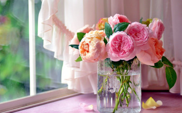 Картинка цветы розы ваза букет лепестки