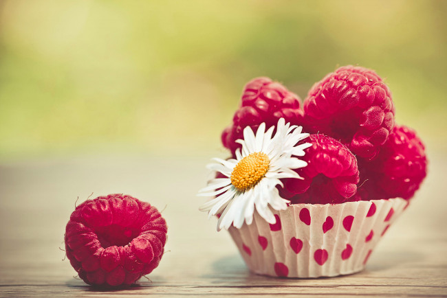 Обои картинки фото еда, малина, ромашка, ягоды, цветок, макро